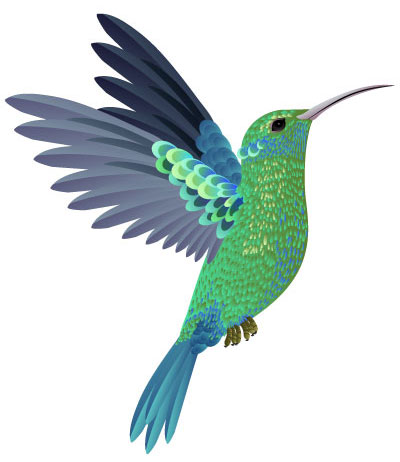 Google Hummingbird